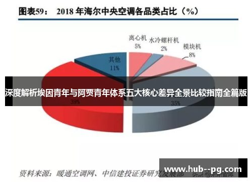 深度解析埃因青年与阿贾青年体系五大核心差异全景比较指南全篇版
