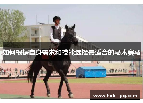 如何根据自身需求和技能选择最适合的马术赛马 如何根据自身需求和技能选择最适合的马术赛马
