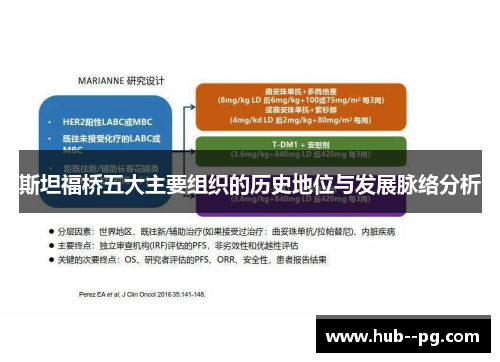 斯坦福桥五大主要组织的历史地位与发展脉络分析 斯坦福桥五大主要组织的历史地位与发展脉络分析